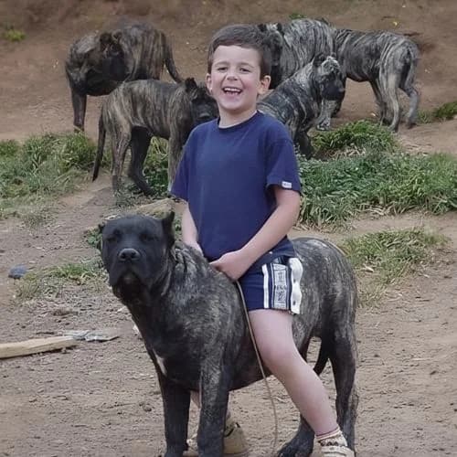 Infancia en el criadero, entre Presa Canario