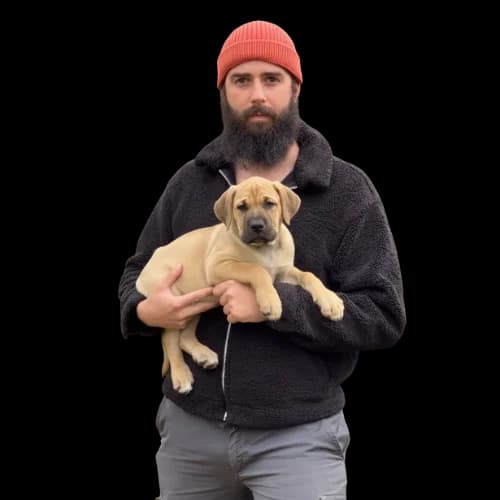 Manuel Curtó Jr. con un cachorro de Presa Canario en brazos