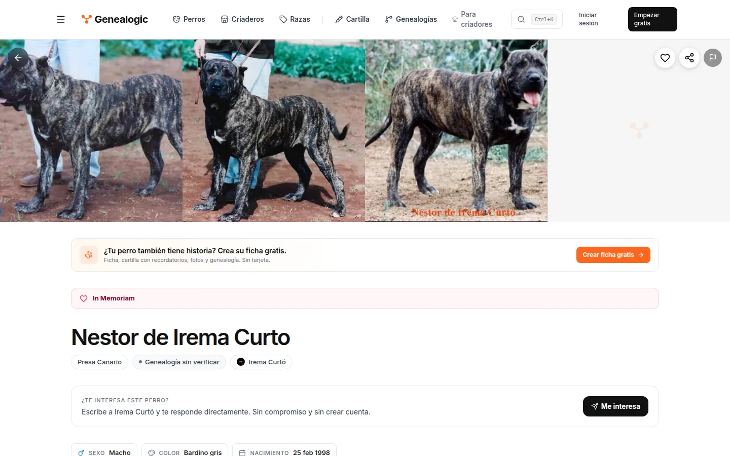 Ficha pública de un perro en Genealogic