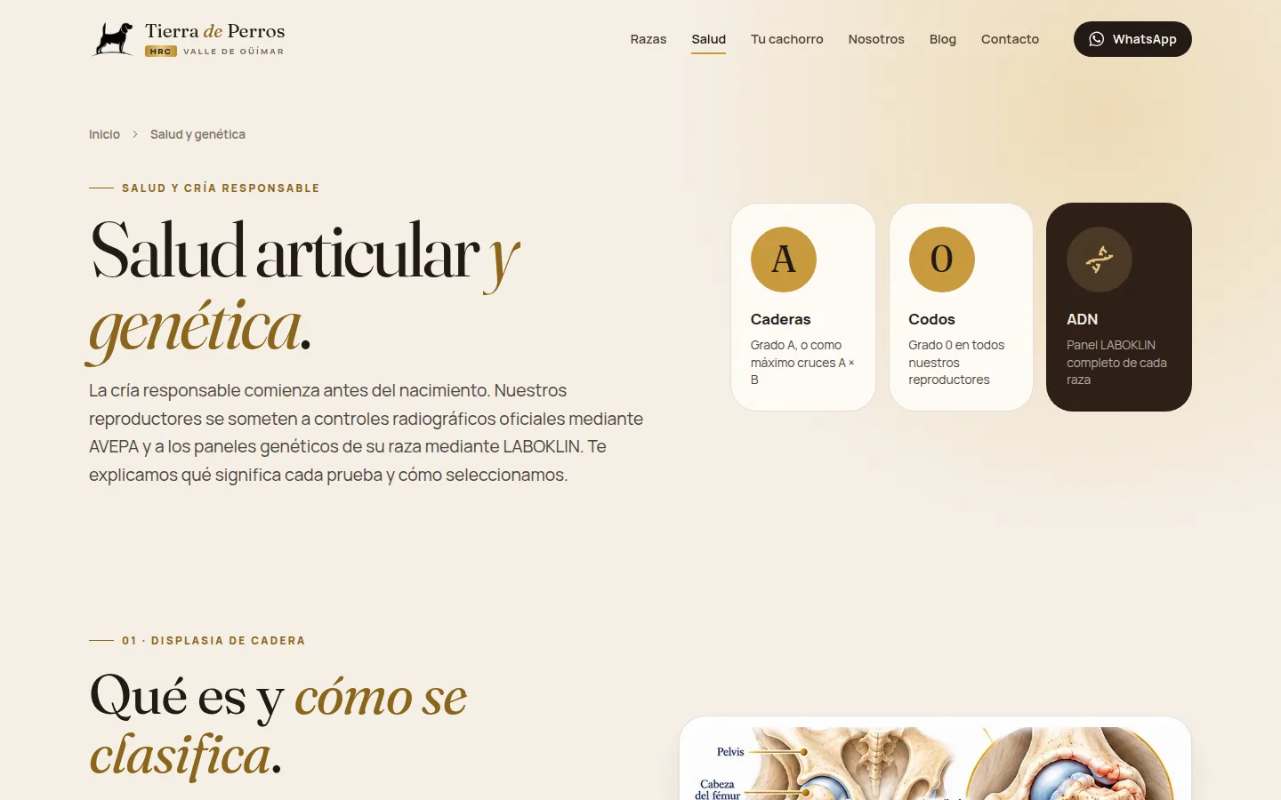 Página de salud y genética de HRC