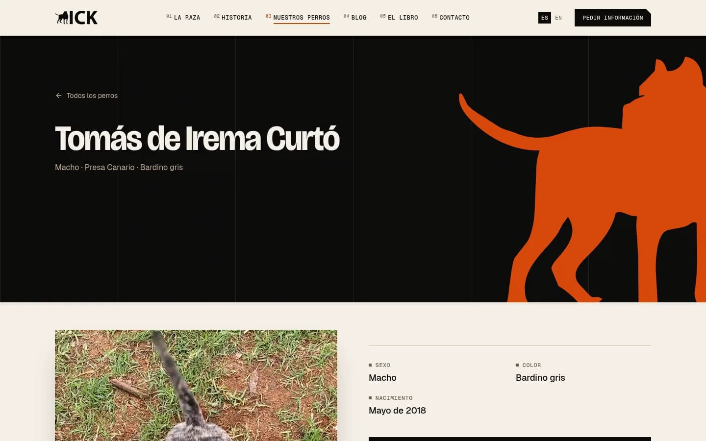 Ficha de un perro de Irema Curtó