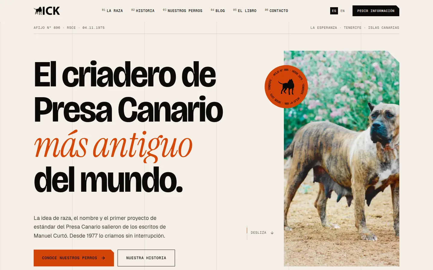 Portada de la web de Irema Curtó